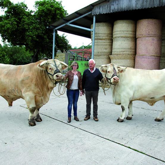 Anne-Sophie L’Huillier et son père Jean-Claude, entourés du taureau Miquelon (champion junior à Agrimax 2018) et de la vache Joviale (grande championne junior au Simagena 2017). Photo : CEC