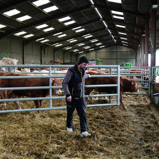 Le système des barrières, qui peuvent se rabattre entièrement, facilite le raclage et l’entretien quotidien des stabulations. Photo Lucile HERGAT