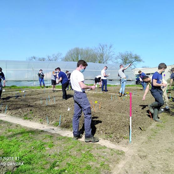 Assuré par les apprenants, le semis de la collection a été l’occasion d’aborder les notions de préparation du sol, des doses de semis et de fertilisation. Photo : DR