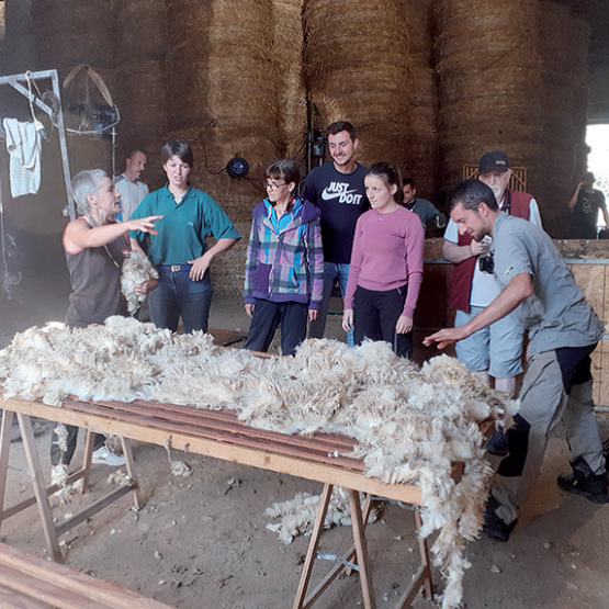 Christelle Jeannet, une des dernières expertes lainières, enseigne les techniques de tri. Photo Christelle VAILLANT