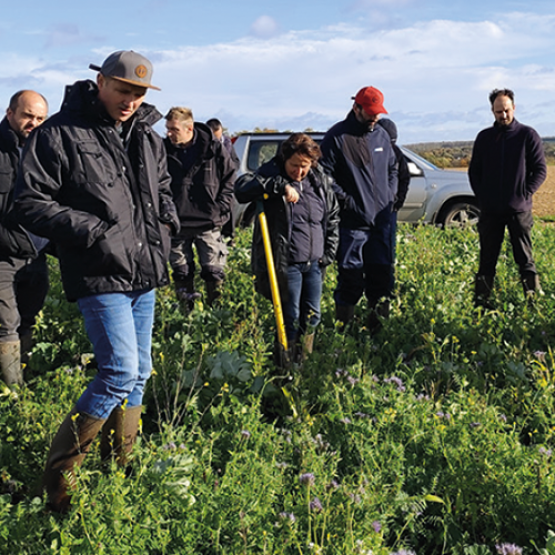 Chaque ferme met en place un protocole, accompagné par Arvalis, selon ses enjeux et ses besoins sur l’exploitation. © Photo DR
