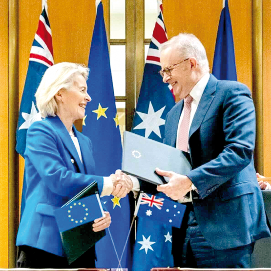 L’accord Ue-Australie prévoit en outre l’ouverture d’un contingent de 25.000 tonnes de viande ovine australienne issue d’animaux nourris à l’herbe. Photo DR