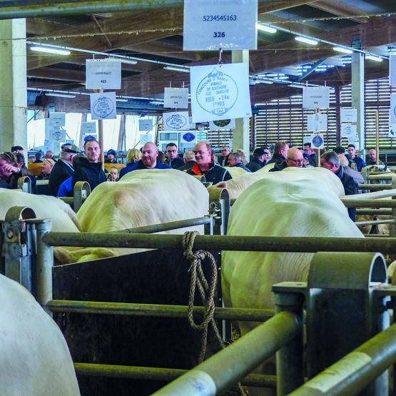 Les visiteurs étaient nombreux dans les allées de la halle aux  bestiaux, mercredi 2 avril. Photo DR