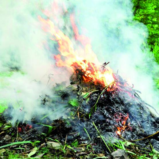 Le brûlage de déchets verts par les exploitants est soumis à conditions. Photo DR