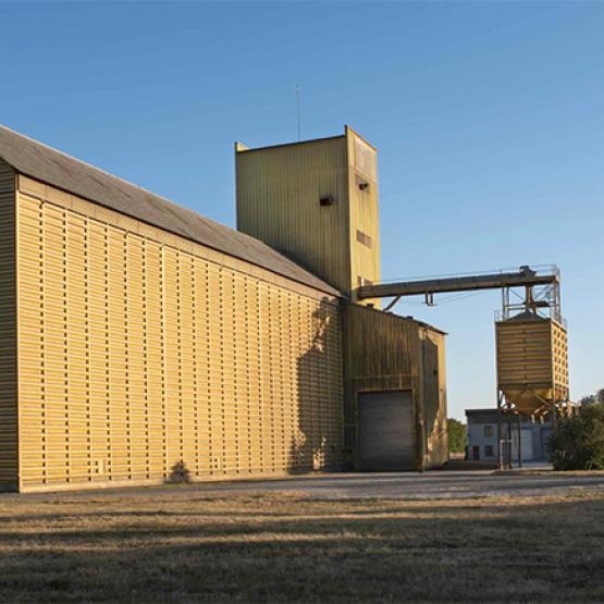 Nombreuses sont déjà les coopératives à s’être engagées dans les processus de transition agroécologique. Photo Actuagri