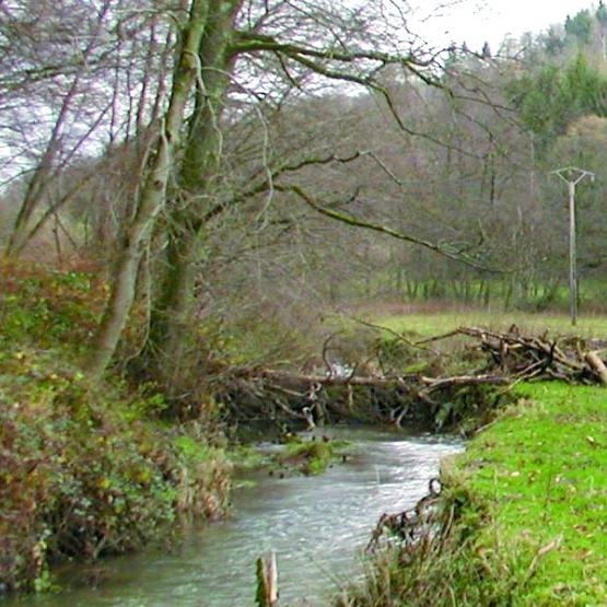 Embâcle obstruant le cours d’eau : à retirer avant que la situation n’empire. Photo LH