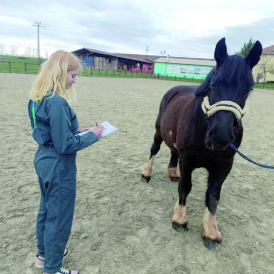 Emma Perrichet en plein entraînement pour l’évaluation des qualités physiques d’un cheval en vue du Sia à Paris.  photo DR