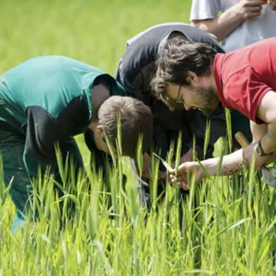 L’enseignement agricole compte plus de 800 établissements et 230 exploitations ou ateliers technologiques. Photo DR