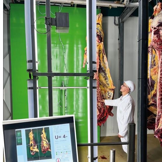 Après un passage de la carcasse devant la caméra, l’intelligence artificielle de la machine à classer s’appuie sur une base de données de 65.000 photos pour établir une proposition de classement. Photo YD
