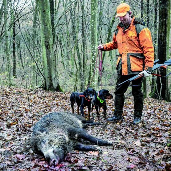 Les utilisateurs de la lunette thermique doivent faire remonter leurs tableaux de chasse. Photo Actuagri