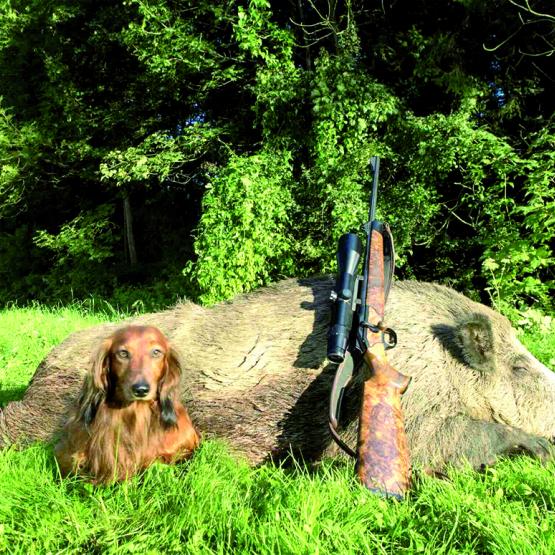 La Fdsea avait appelé son réseau à se mobiliser pour peser dans le sens de la sectorisation, pour l’appel de la contribution complémentaire.  Photo Actuagri