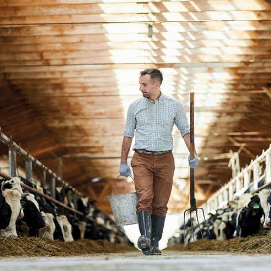 En France, les 1.000 litres étaient réglés 494 € en octobre dernier, soit 5,7 % de plus qu’en 2024. Photo actuagri