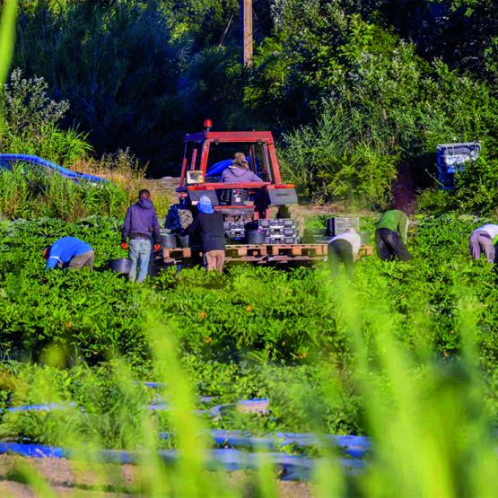 Si le recours à des prestataires de services fait partie  des solutions au décalage structurel entre besoins et disponibilité, les risques encourus appellent à la vigilance. Photo DR
