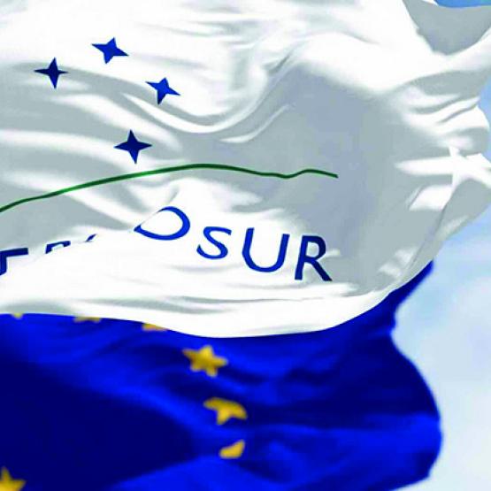 Le gouvernement français a fait savoir qu’il ne comptait pas baisser les bras, et que le combat continuait au Parlement européen. Photo Actuagri