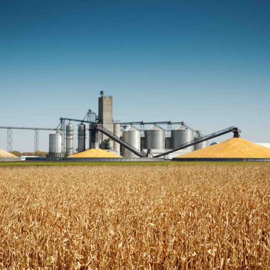 Selon Maxime Godart (Dg Timac Agro France), la France devrait s’inspirer des pays qui ont une réelle culture du stockage. Photo Actuagri