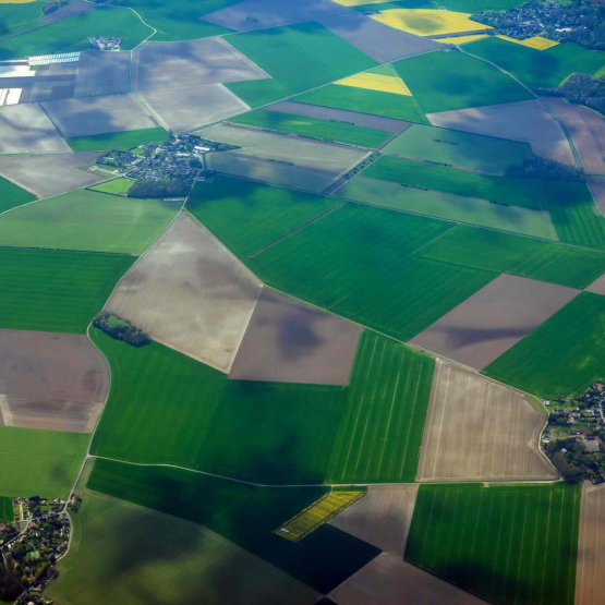 « La souveraineté alimentaire ne peut pas attendre 2027 », estime Luc Smessaert. Photo iStock.