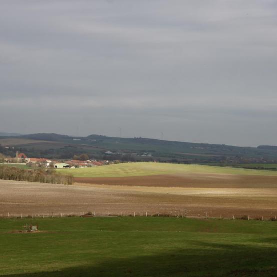 La jurisprudence a longtemps considéré qu’en cas d’agissements fautifs du preneur, le bailleur pouvait demander la résiliation. Photo Pierre DIVOUX