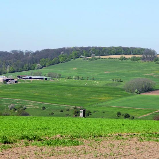 La Fdsea préconise de déclarer les jachères et bandes tampons en prairie temporaire afin de limiter les contraintes d’entretien et de récolte. Photo DR
