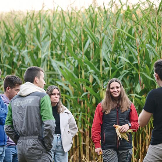 Sur le campus de Courcelles-Chaussy, six formations post-bac sont proposées par voie scolaire ou par apprentissage. Deux certificats de spécialisation sont également accessibles. Photo DR