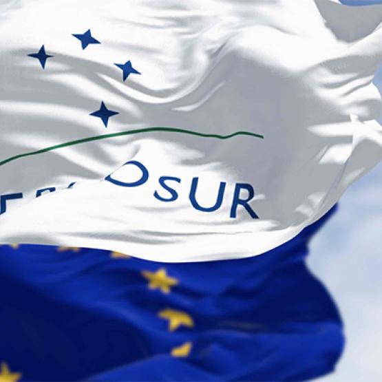 Arnaud Rousseau a rappelé fermement à Emmanuel Macron que les clauses de sauvegarde, telles qu’elles sont rédigées, sont dangereuses pour la France. Photo DR