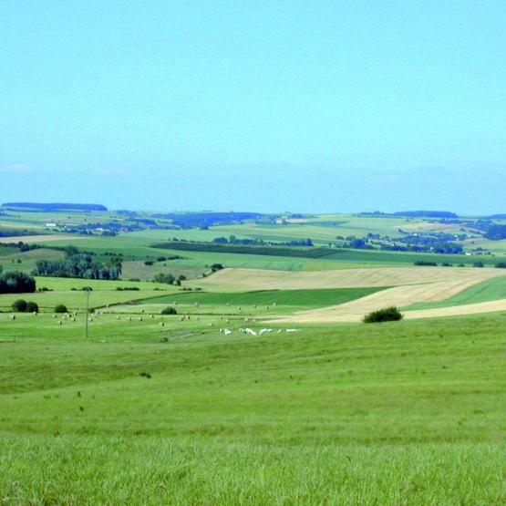 La Fdsea 57 appelle les élus locaux à ne pas augmenter la pression fiscale sur les terres agricoles. Photo DR