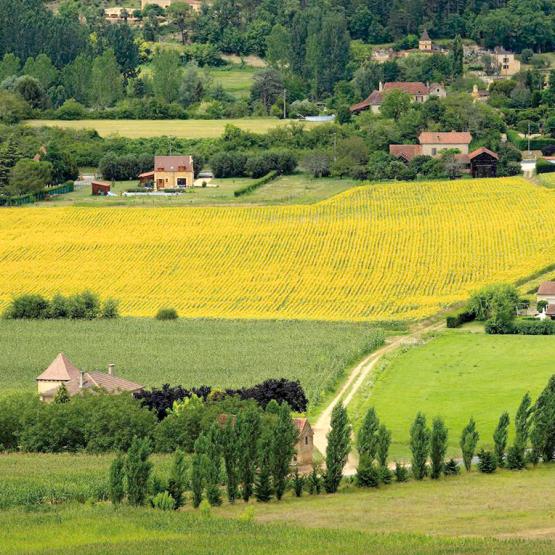 Pour connaître le montant du fermage 2025, il conviendra de majorer le fermage 2024 de 0,42 %. Photo DR