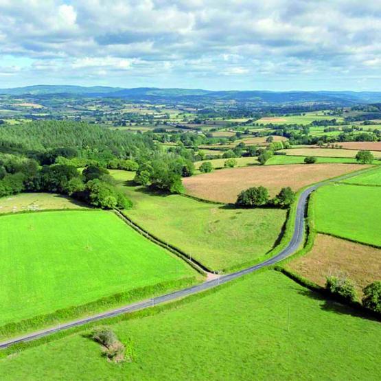 Contrastant avec le secteur végétal, la production animale bondit de 10,1 % en valeur. Cette performance est presque exclusivement due à une envolée des prix. Photo Actuagri