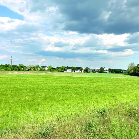 Contrairement aux idées reçues, l’Eurométropole de Metz est marquée par une forte identité rurale à laquelle contribuent les quarante-six communes qui la composent. Photo Pierre Divoux