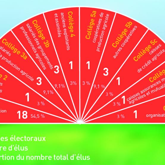 Une Chambre d’agriculture départementale est composée de 33 membres élus au suffrage direct pour une durée de 6 ans et répartis dans 10 collèges. Photo DR