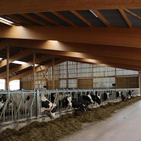 Les associés ont privilégié le bois pour la construction, « pour l’ambiance plus chaleureuse  dans le bâtiment » comparée aux bâtiments métalliques. Photo : H.Flamant.