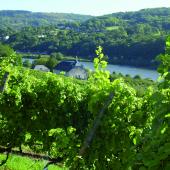 Inaugurée en 2013, la Route des Vins de Moselle propose un parcours de 46 km autour des domaines Aoc des trois secteurs géographiques de l’aire parcellaire classée : Pays messin, Pays des Trois Frontières et Vic-sur-Seille. Photo : DR
