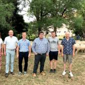 Les organisateurs d’Agrimax ont fait le choix de mettre à l’honneur en 2023 la race ovine de l’Est à Laine Mérinos. Photo Cédric Coillot