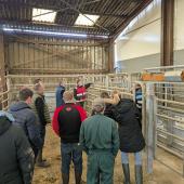 Le groupe étudie le système de contention en demi-lune au sein de l’Earl du Haras. Photo Caaa 57