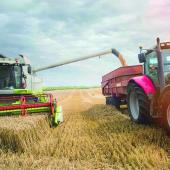 Les cours des grains dans l’Union européenne ou aux États-Unis ont gagné des dizaines d’euros depuis la mi-juillet. Photo Actuagri