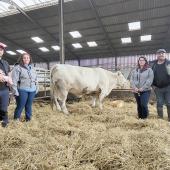 De g. à d. : Quentin, qui porte sa fille Amandine, Camille, la vache Ozone, Justine et Geoffroy Seemann. Photo Bérengère de Butler
