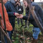 Après une matinée en salle, les viticulteurs lorrains ont pu mettre en pratique les apprentissages. Photo DR.