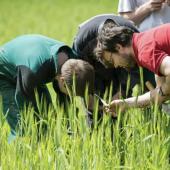 L’enseignement agricole compte plus de 800 établissements et 230 exploitations ou ateliers technologiques. Photo DR