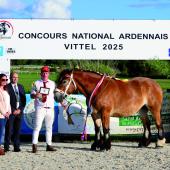 Majesté du Wolfert menée par Paul Rechenmann du Gaec de la Steine, Championne Espoir au concours national Ardennais de Vittel 2025. Photo DR