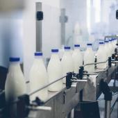 Depuis octobre dernier, les prix payés en sortie de ferme ont décroché pour tomber à 481 euros la tonne en février. Photo Actuagri