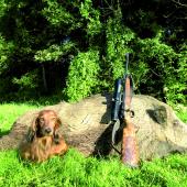 La Fdsea avait appelé son réseau à se mobiliser pour peser dans le sens de la sectorisation, pour l’appel de la contribution complémentaire.  Photo Actuagri