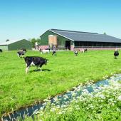 La stratégie sur l’élevage devrait porter sur l’innovation, les approches territoriales et la valorisation des produits animaux de qualité. Photo DR