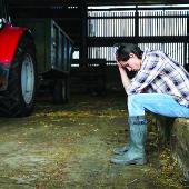 L’ensemble des organisations agricoles travaille à «détecter le plus tôt possible pour agir vite». Photo Actuagri