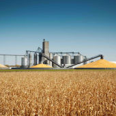 Selon Maxime Godart (Dg Timac Agro France), la France devrait s’inspirer des pays qui ont une réelle culture du stockage. Photo Actuagri