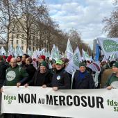 «Les agriculteurs sont épuisés par les injonctions contradictoires, par les décalages entre les discours en faveur de la souveraineté et les contraintes imposées, par les politiques commerciales incohérentes avec nos normes de production»