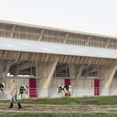 Le futur bâtiment comportera trois pôles : nurserie, laiterie et atelier transformation, génisses-vaches. Photo DR