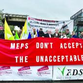 Une manifestation aux accents européens, mardi 21 octobre à Strasbourg. Photo Lucie d’Agosto