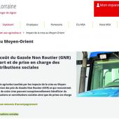 La demande est à faire en ligne via le lien sur le site de la Msa (www.lorraine.msa.fr) ou via le formulaire à renvoyer par mail. (capture d'écran)