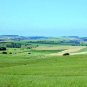 La Fdsea 57 appelle les élus locaux à ne pas augmenter la pression fiscale sur les terres agricoles. Photo DR