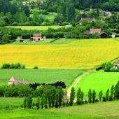 En 2024, le taux moyen communal de la Tfnb s’élève en Moselle à 47,28 %, soit plus du double du taux des trois autres départements lorrains. Photo Actuagri