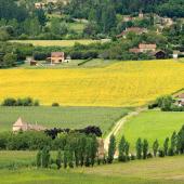 Pour connaître le montant du fermage 2025, il conviendra de majorer le fermage 2024 de 0,42 %. Photo DR